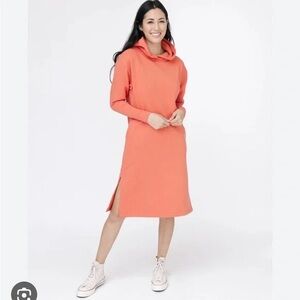 Smash & Tess Burnt Sienna Ava Hoodie Dress Size Small